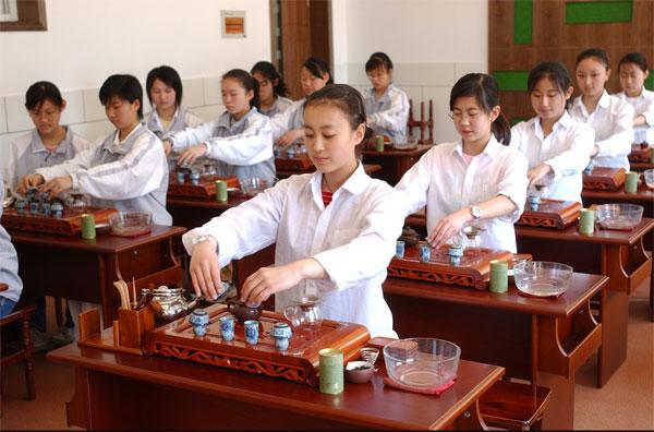 树人学校新推出茶艺师培训项目正...